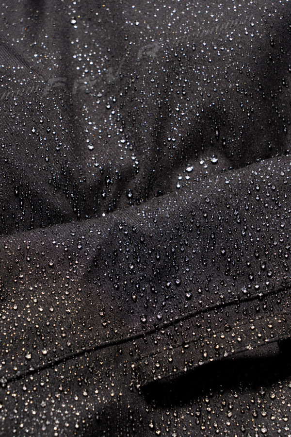 Жіночі гірськолижні штани Freever NF 21655 чорні, Фото №3- freever.ua