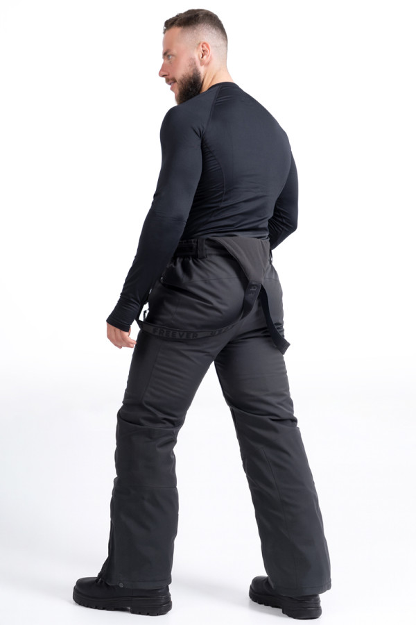 Чоловічі гірськолижні штани Freever NF 21695 сірі, Фото №3- freever.ua