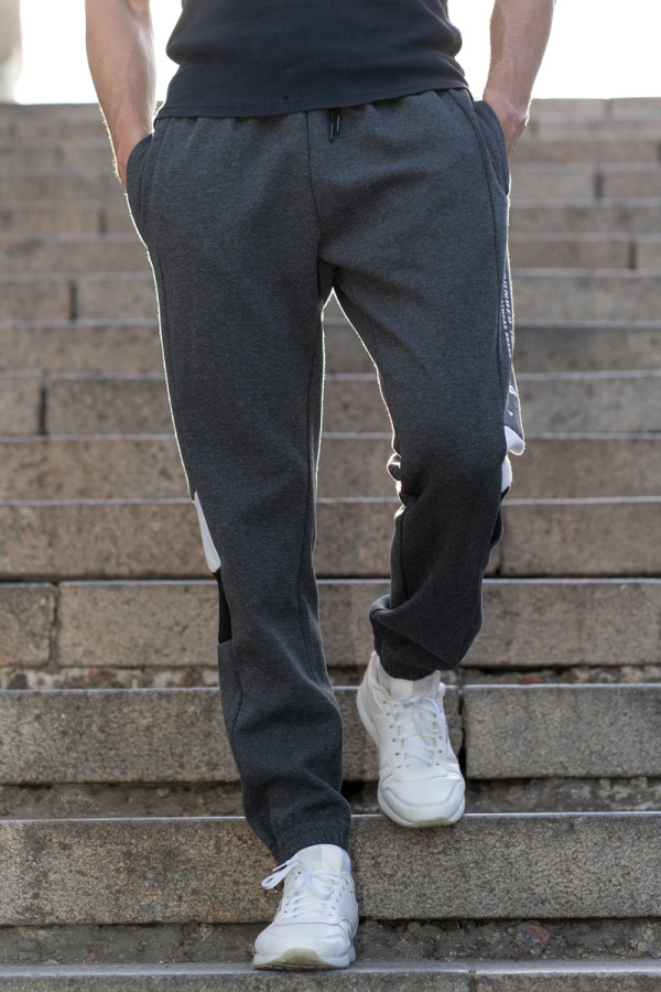 Спортивные брюки мужские Freever WF 8908 серые - freever.ua