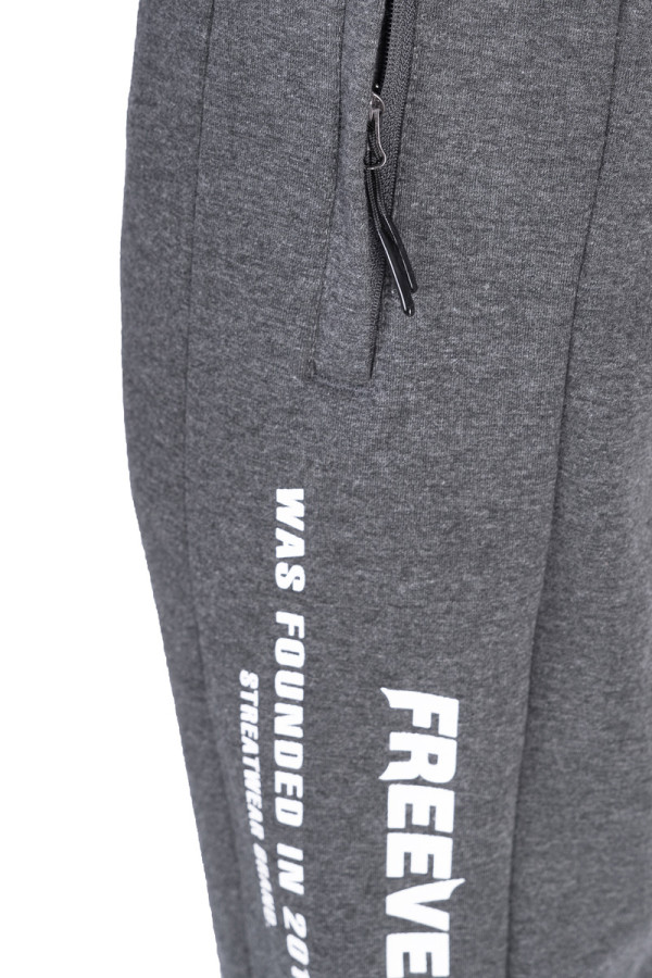 Спортивные брюки мужские Freever WF 8908 серые, Фото №7 - freever.ua